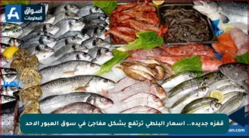 قفزة جديدة.. أسعار البلطي ترتفع بشكل مفاجئ في سوق العبور الأحد